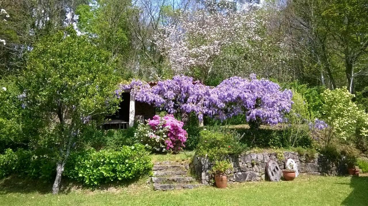 O Lughar Darriba Fogar Natural Gallardo Exterior foto